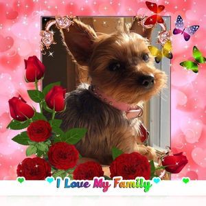 Meet your Posher, Gail